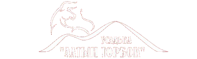 Логотип — Алтын Торбок