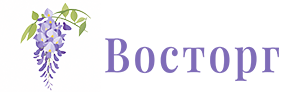 Логотип — мини-отель "Восторг"