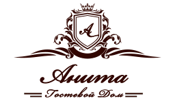 Логотип — Анита