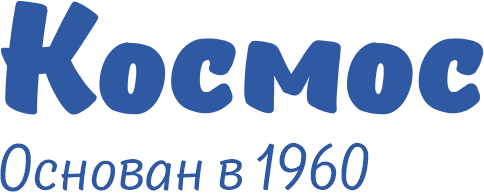 Логотип — Гостиница "Космос"