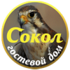 Логотип — Городской отель «Гостевой Дом «Сокол»
