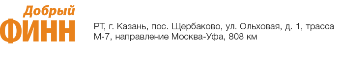 Логотип — Добрый Финн
