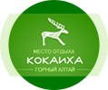 Логотип — Кокаиха
