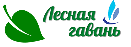 Логотип — Лесная гавань
