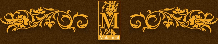 Логотип — Максималь