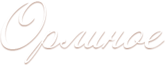 Логотип — Гостевой дом Орлиное