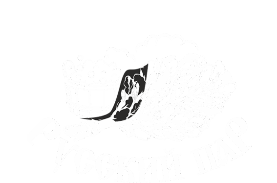 Логотип — Отель "Русский Пар"