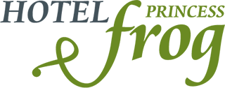 Логотип — отель " Princess Frog "
