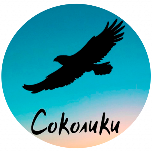 Логотип — База отдыха «Соколики» ИП Трач Алексей Владимирович
