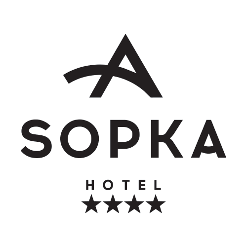 Логотип — Отель «Сопка» ИП Фридман С.Е