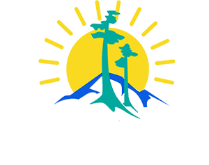 Логотип — "Металлург"