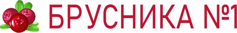 Логотип — "Снежная Брусника"База отдыха